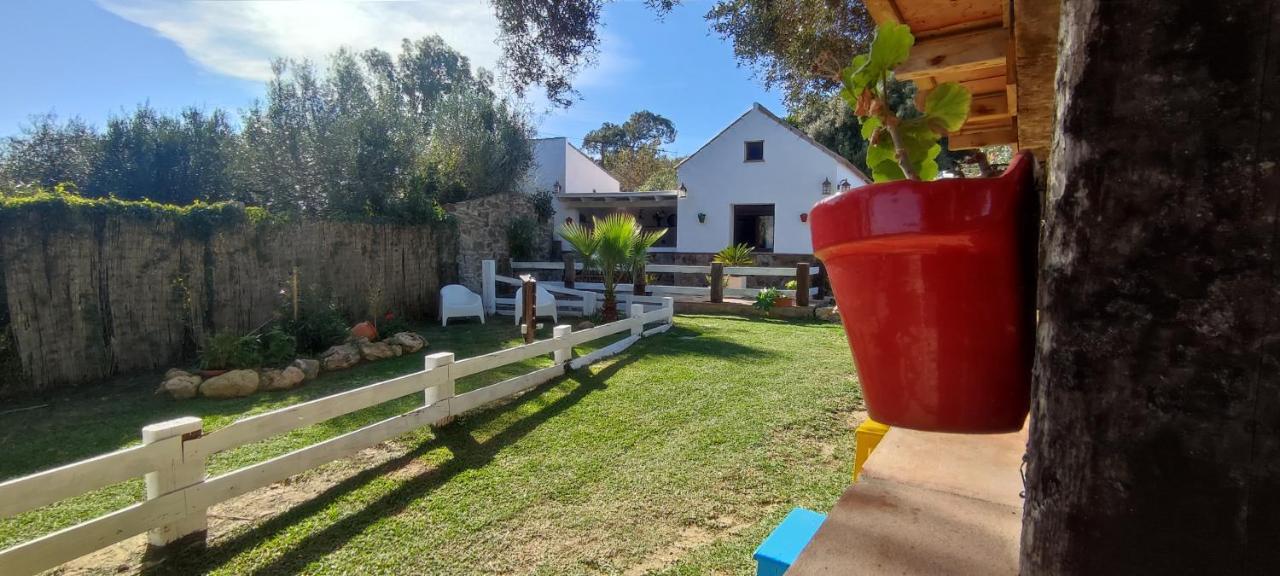 タリファ La Casa De Rodrigo Y Manuelaヴィラ エクステリア 写真